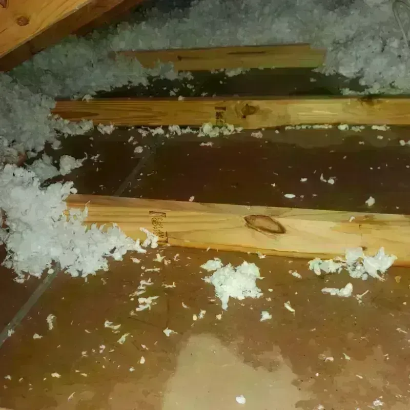 Attic Water Damage in Redlands, CO